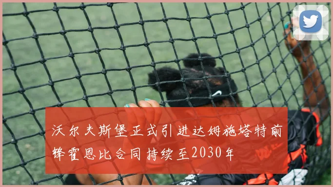 沃尔夫斯堡正式引进达姆施塔特前锋霍恩比合同持续至2030年