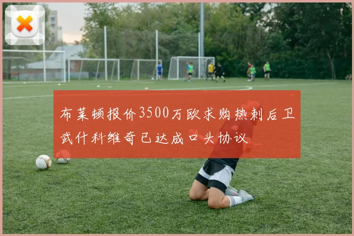 布莱顿报价3500万欧求购热刺后卫武什科维奇已达成口头协议