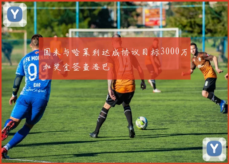 国米与哈莱利达成协议目标3000万加奖金签查洛巴